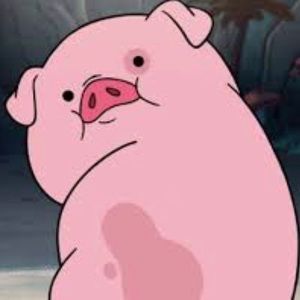 Meet your Posher, Anyssa